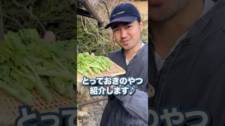 春の訪れ!とっておきの菜の花のレシピ紹介します 春の訪れ!とっておきの菜の花のレシピ紹介します