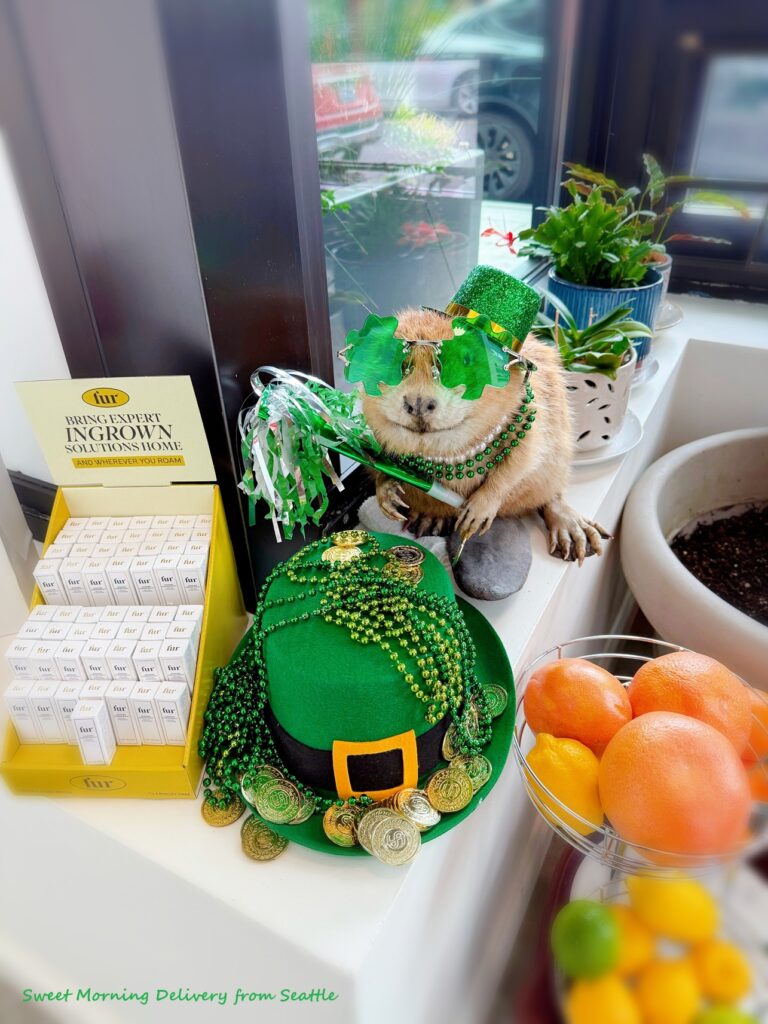 NEW                        
                        
                                                BLOG                        
                        
                        
                            
                                3/13                                (木)                                
                                
                                
                            
                            アイルランドのお祭り★St. Patrick’s Day
                            はらだちほ（アメリカ在住）67