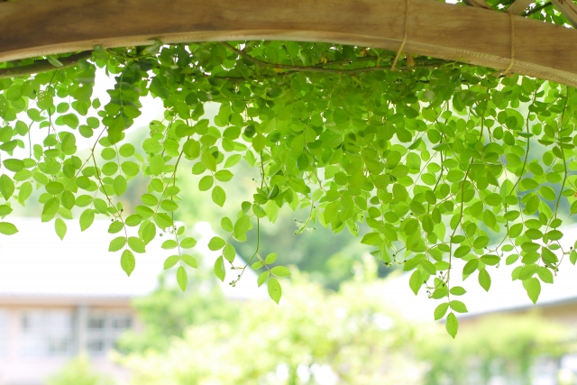 NEW 
 3/31                                (月) 
 英語「crazy about baseball」の意味って？
 編集部（協力：eステ）618