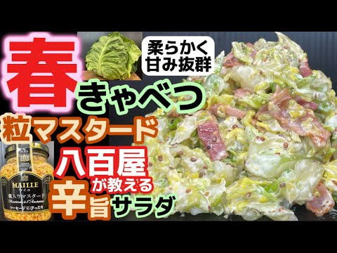 八百屋が教える【春キャベツ粒マスタードサラダ】柔らかい春野菜、春きゃべつの甘味を引き立たせる旨味抜群の粒辛子！酒のおつまみに‼パンに挟んで‼旬だから食べて欲しい逸品‼カラシが合うドレッシングソース‼