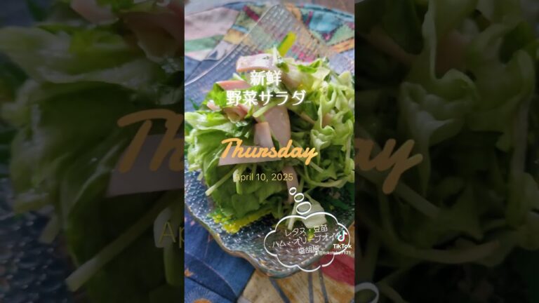 野菜を食べよう‼️【新鮮野菜サラダ】 #lunch #簡単レシピ #料理 #おうちごはん #野菜 #ヘルシー #オリーブオイル
