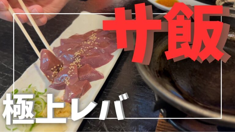 大人気銭湯サウナからの極上レバでサ飯【サウナ】【銭湯】【サ飯】【vlog】【爆食い】浅草で同棲するふたりが奥浅草にあるサウナでととのってから極上レバを堪能する動画