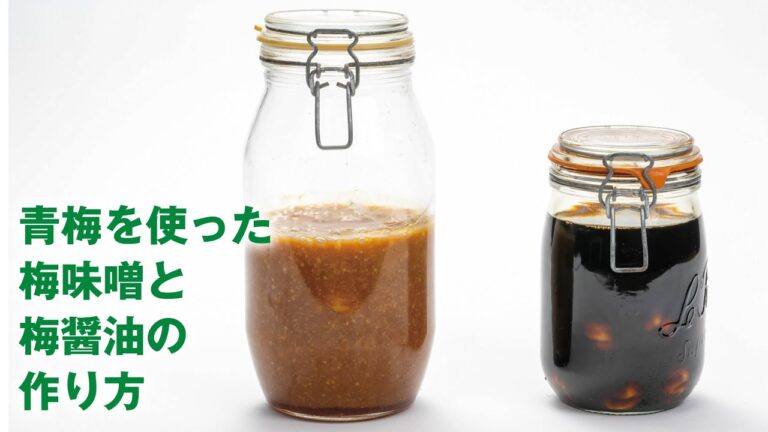 よつ葉の簡単レシピ「青梅の醤油漬け」＆「梅味噌ドレッシング」