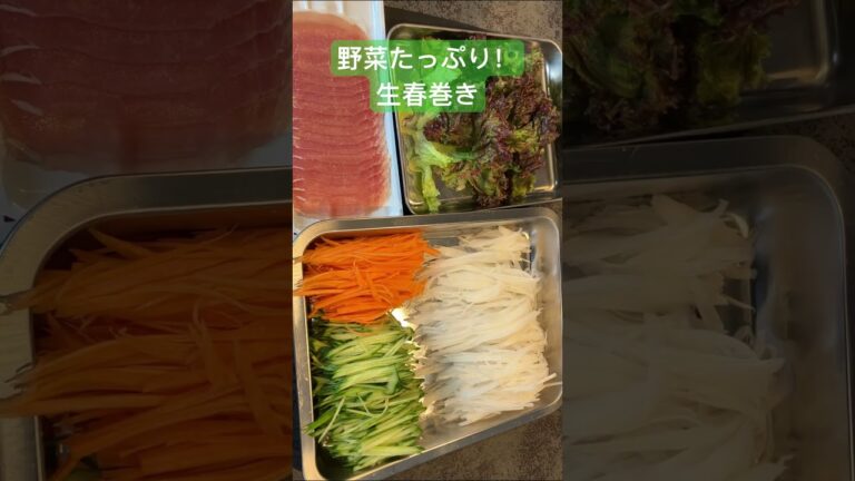 野菜たっぷり!生春巻き! 野菜たっぷり!生春巻き!