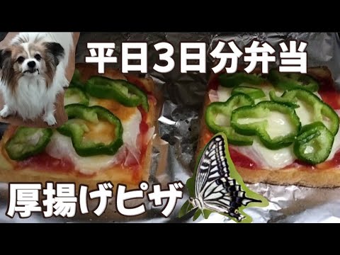 お弁当3日分のレシピや材料は概要欄見てね。庭でアゲハが羽化した🤭Three bento boxes and a swallowtail butterfly emerging in my garden