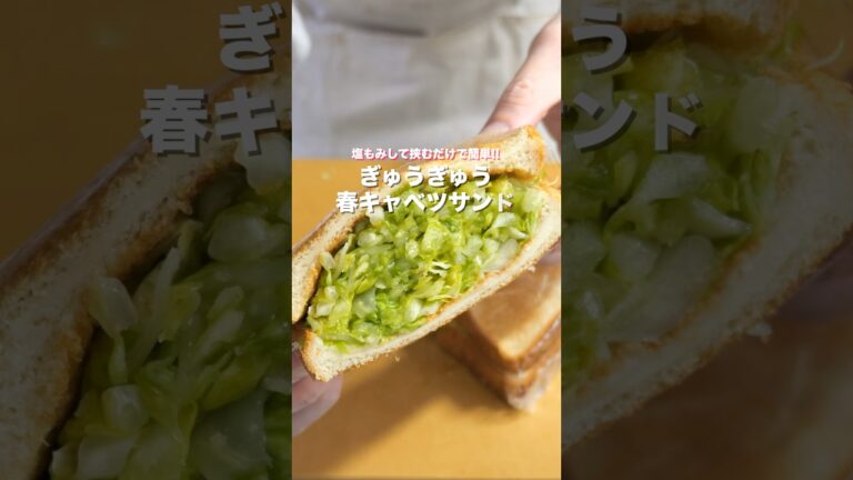 【春キャベツだけで驚くほど旨い!】塩もみして挟むだけ「ぎゅうぎゅう春キャベツサンド」の作り方 #shorts #簡単レシピ #料理 【春キャベツだけで驚くほど旨い!】塩もみして挟むだけ「ぎゅうぎゅう春キャベツサンド」の作り方 #shorts #簡単レシピ #料理