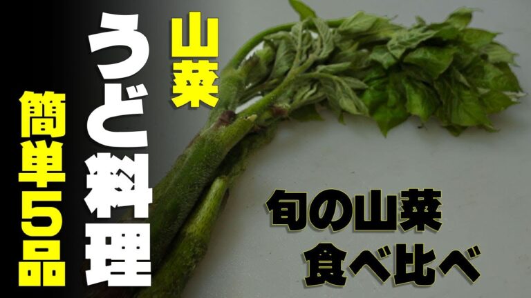 【山菜料理】山独活　うどの簡単レシピ５品　旬のウドを食べつくす。誰でも簡単に作れる簡単レシピ５品。