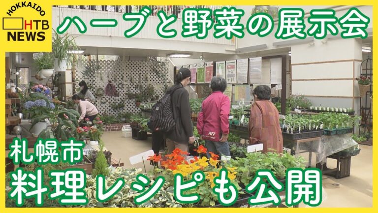 「すごいハーブ好きなので楽しいですね」　ハーブと野菜の展示会　栽培のコツや料理レシピも公開　札幌市