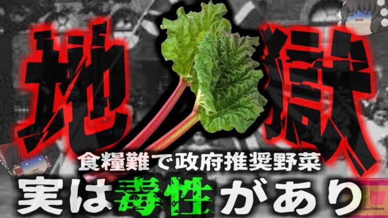 【1918年】『＊人者の野菜 レシピ本に紹介された野菜食べ*亡』政府主導で行われた代替野菜のレシピ 危険な成分を豊富に含んでおり国民が急性中毒に 実は危険な植物の成分【ゆっくり解説】
