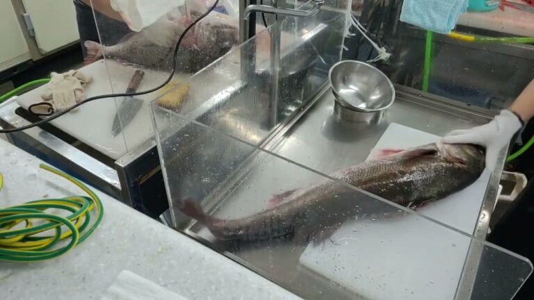 魚屋JAPAN がライブ配信中! のハイライト 25:20 – 30:20