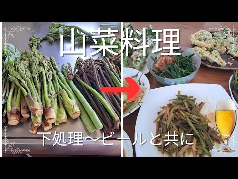 【山菜】レシピ　下処理から調理　ビールと共に