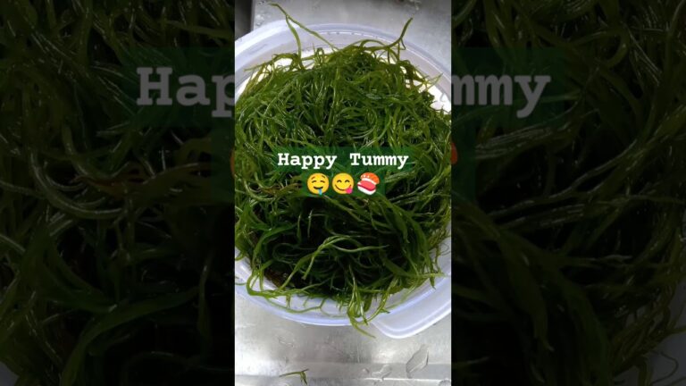 Seaweed Salad & Fresh Sushi 🍣 #sushilovers #seaweedsalad #healthyliving #shorts Seaweed Salad & Fresh Sushi 🍣 #sushilovers #seaweedsalad #healthyliving #shorts