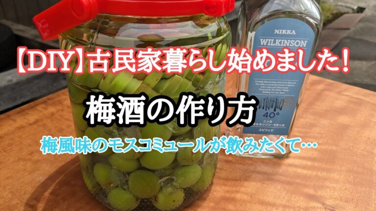 【DIY】古民家田舎暮らし始めました！　梅酒の作り方