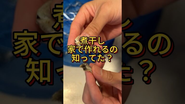 煮干しは家で作れます！！