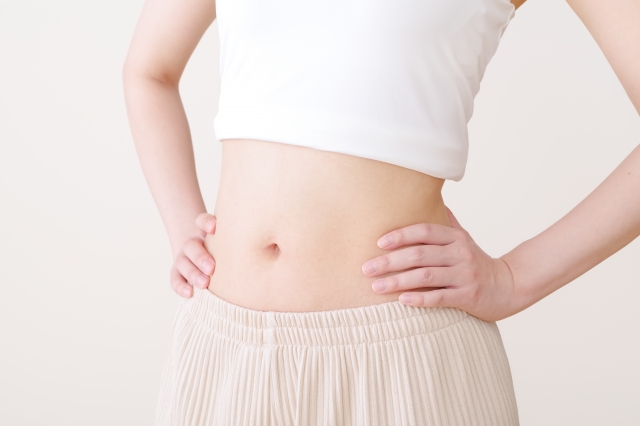 引き締まったお腹