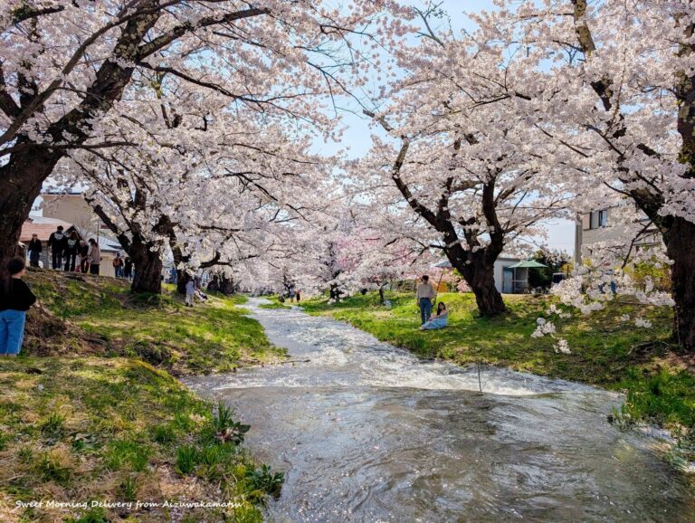 NEW 
 BLOG 
 5/3                                (土) 
 東北の桜
 はらだちほ（アメリカ在住）5