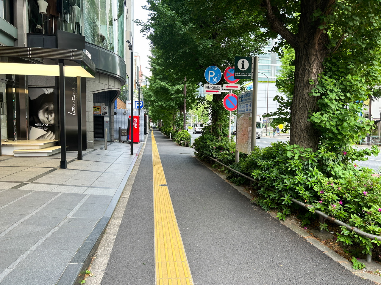 渋谷までの散歩道