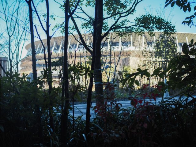 TREE by NAKED meiji park 店内からの眺め