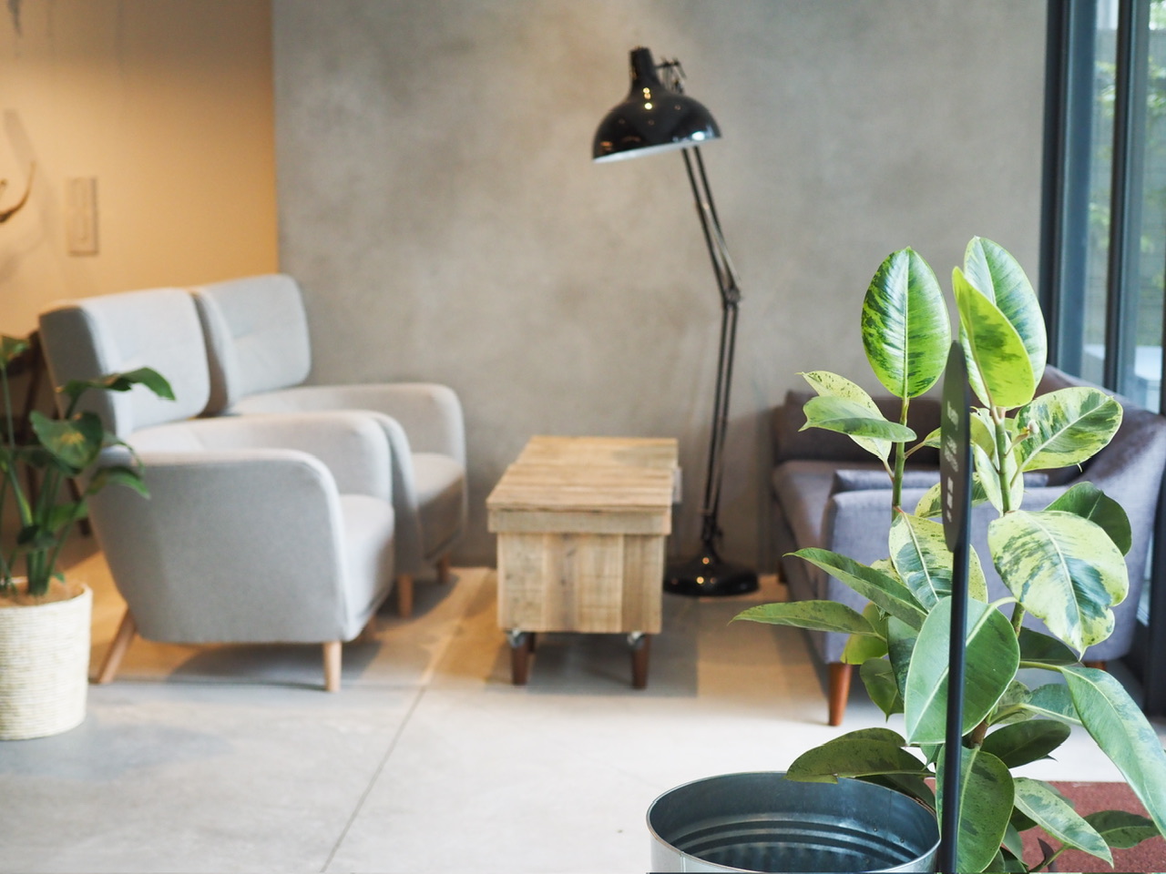 ZTTo morning ソファ席