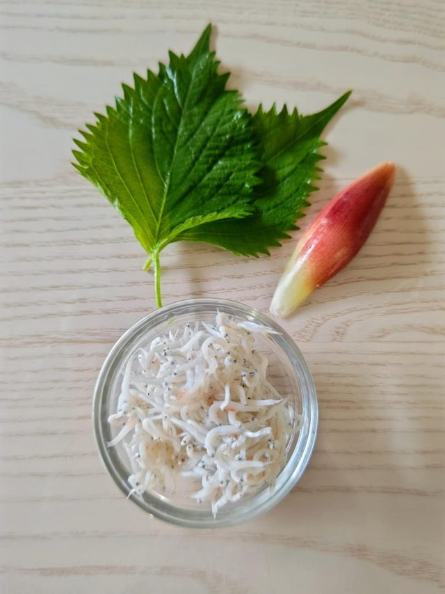 刻む前の青じそとみょうが