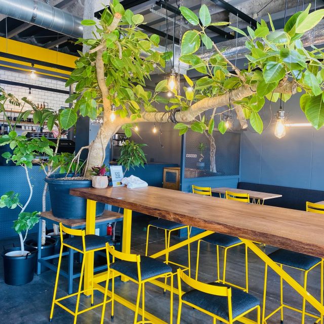 SULK GREEN CAFE OSAKA 店内の席