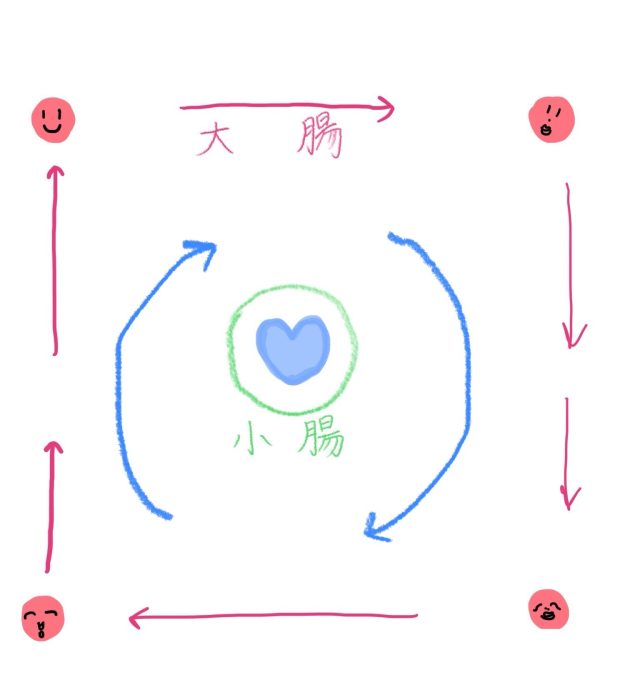 阪口珠美さん 腸もみ実践 やりかた