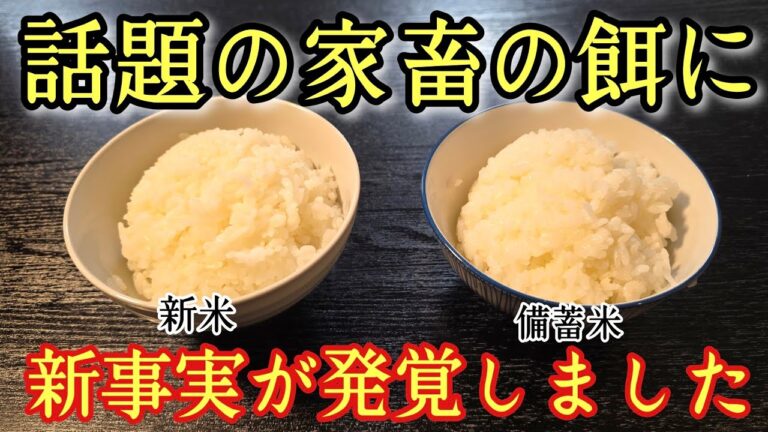 話題の備蓄米に新事実が発覚しました