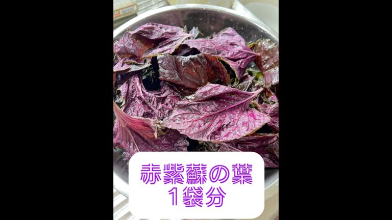 【赤紫蘇ジュース】りんご酢と氷砂糖でシロップ作ったよ✨#shorts #料理 #ズボラ主婦 #赤しそジュース