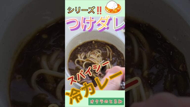 【シリーズ夏】乾麺つけダレ新提案『スパイシーカレー』 #日本食 #冷麺 #そば  #うどん #素麺 #ひやむぎ#japanesefood #curry #spicy #cold noodle