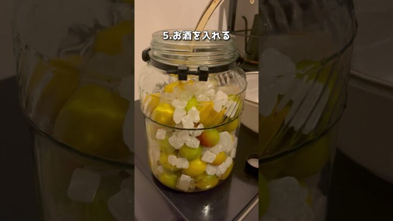 【初心者向け】簡単な梅酒の作り方 #shorts #梅酒 #お酒 【初心者向け】簡単な梅酒の作り方 #shorts #梅酒 #お酒