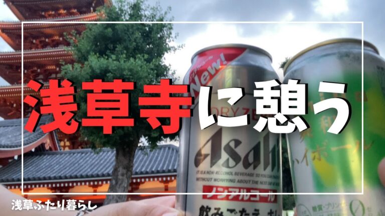 日本一の観光名所・浅草寺で夕涼み【浅草】【浅草寺】【vlog】浅草で同棲するふたりが浅草寺で優しく憩う動画