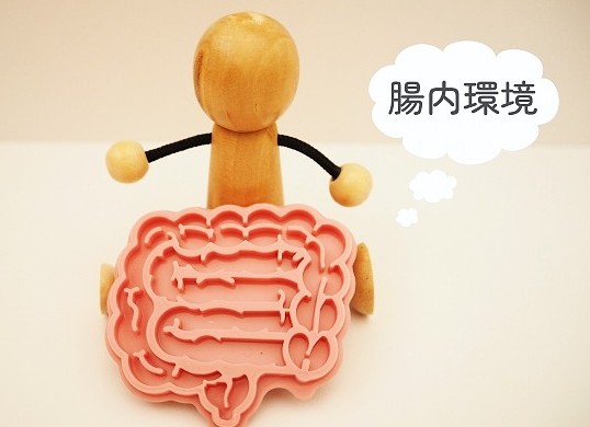 腸内環境