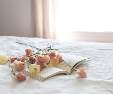 ベッドの上　花　本