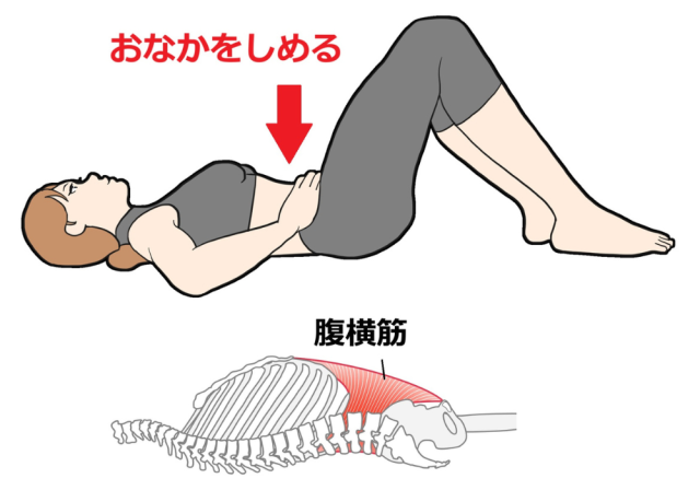 腹横筋とドローイン