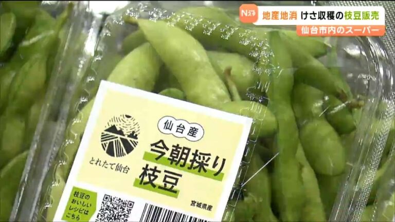 ”普通の枝豆と一線を画す”仙台産「今朝採り枝豆」ブランド化へ販売始まる