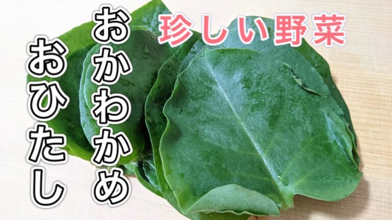 【珍しい野菜】おかわかめ『お浸し』の作り方！