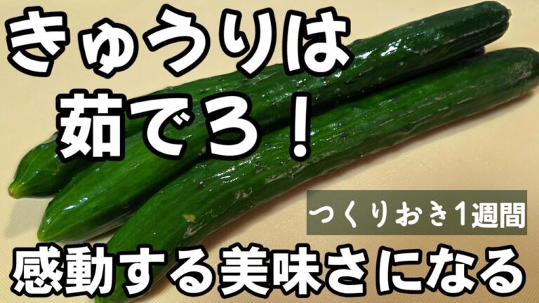 きゅうりは茹でてアレに漬けろ！感動するほど美味しくなる裏技！簡単胡瓜おつまみ 作り置き常備薬 副菜レシピ 漬物 もやし 和え物