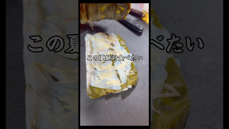 【マダコ昆布締め】アレを挟めばさらに旨くなる #晩酌 #さかな #料理 #おつまみ #釣り#昆布締め #タコ#蛸#sashimi #shorts