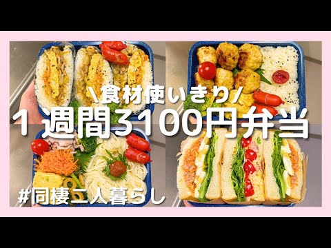 【食費3100円】夏を彩る1週間お弁当レシピ｜簡単節約メニュー＆買い物リスト
