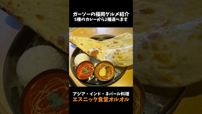 [インドカレー&タイ・ベトナム料理]エスニック食堂OLU OLU(オルオル)にてインディアンタリーセット＋生春巻き[ガーソーの福岡グルメ紹介]#shorts