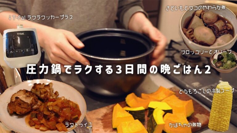 【電気圧力鍋レシピ】T-fal ラクラクッカーで3日分の晩ごはん🍚 | ラタトゥイユ・タコ煮・かぼちゃ🎃