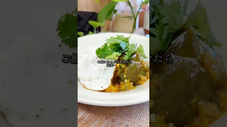 干し海老かおるナス煮込み🍆🦐 #エスニック料理#簡単レシピ #簡単レシピ #ミャンマー料理 #お家でエスニック