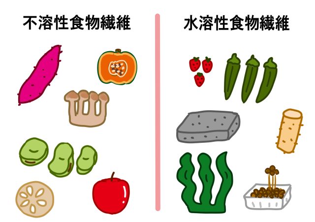 水溶性食物繊維