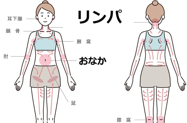 リンパ液の流れ