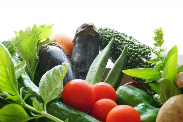 ゴーヤ、オクラ、夏野菜