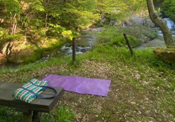 森の中にセットしたヨガマット