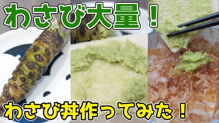 【わさび大量!】わさび丼って本当に美味しいの? 【わさび大量!】わさび丼って本当に美味しいの?
