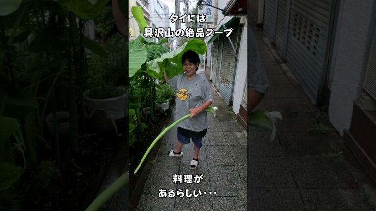 タイには具沢山の絶品スープ料理があるらしい・・・ #タイ料理 #エスニック料理 #shortsvideo タイには具沢山の絶品スープ料理があるらしい・・・ #タイ料理 #エスニック料理 #shortsvideo