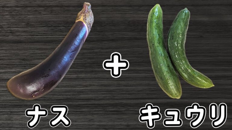 【キュウリとナスのレシピ】簡単塩昆布漬けの作り方！切って和えるだけ！塩昆布と白だしでお手軽に♪火を使わずに作る、箸が止まらない程美味しい浅漬けレシピ