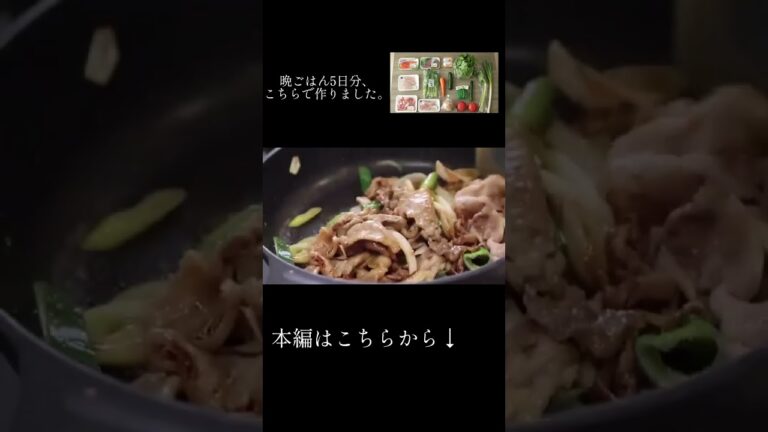 【豚肉と長ねぎの生姜炒め】40代夫婦2人のシンプルな晩ごはん #shorts